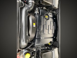 /photos/12667/bc66a417-93dc-4028-823c-eaee86fd035d_i320x240.jpg